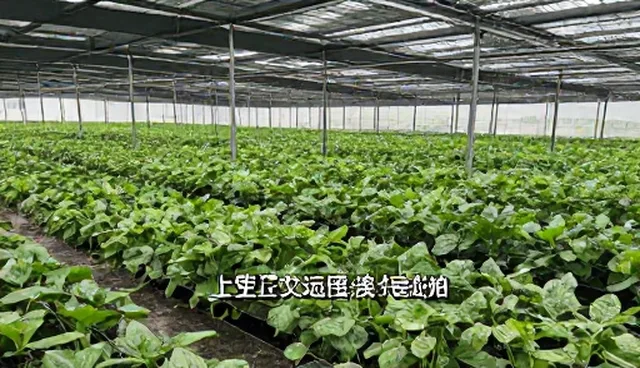 宣传片制作如何在不同场景中保持性能稳定