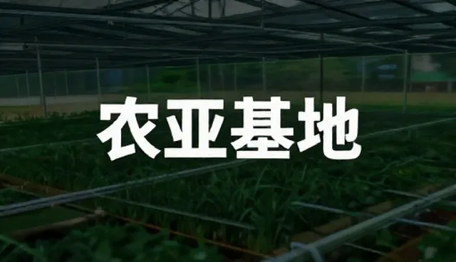 宣传片制作如何通过内容分发提升传播效果